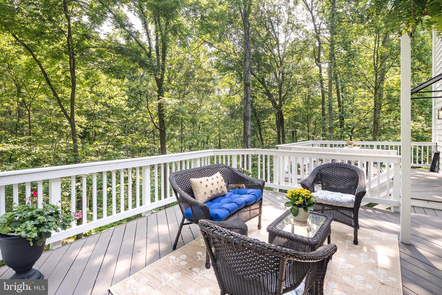 20808 Wild Goose Ln