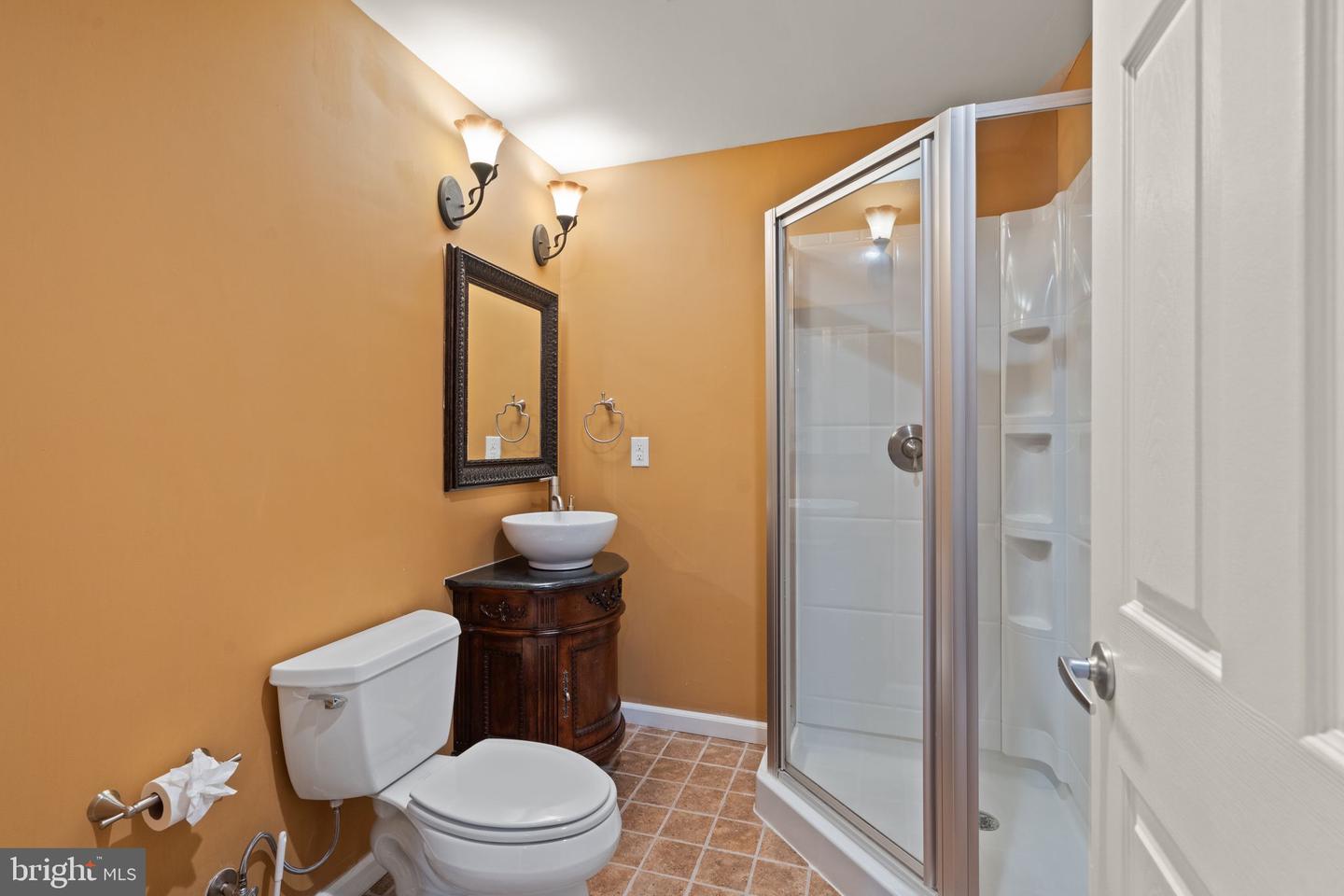 25336 Ripleys Field Dr