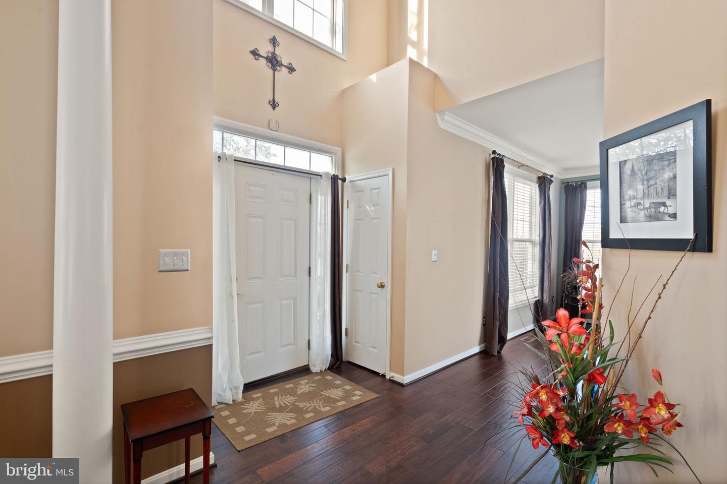 25336 Ripleys Field Dr