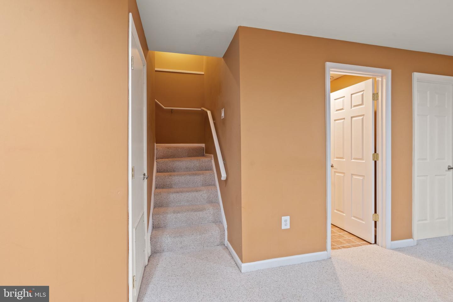 25336 Ripleys Field Dr