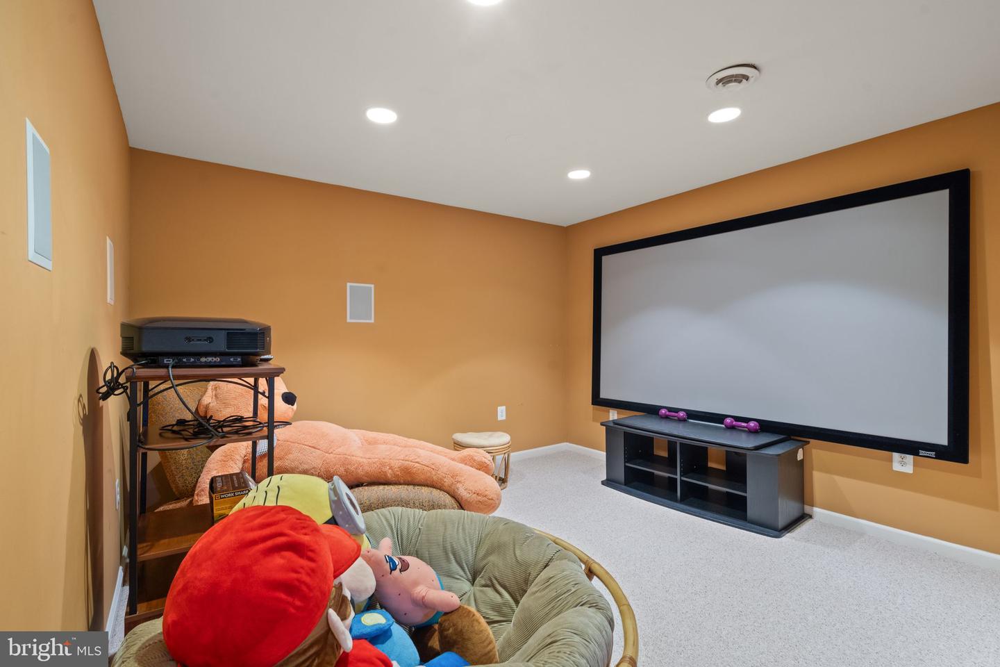 25336 Ripleys Field Dr