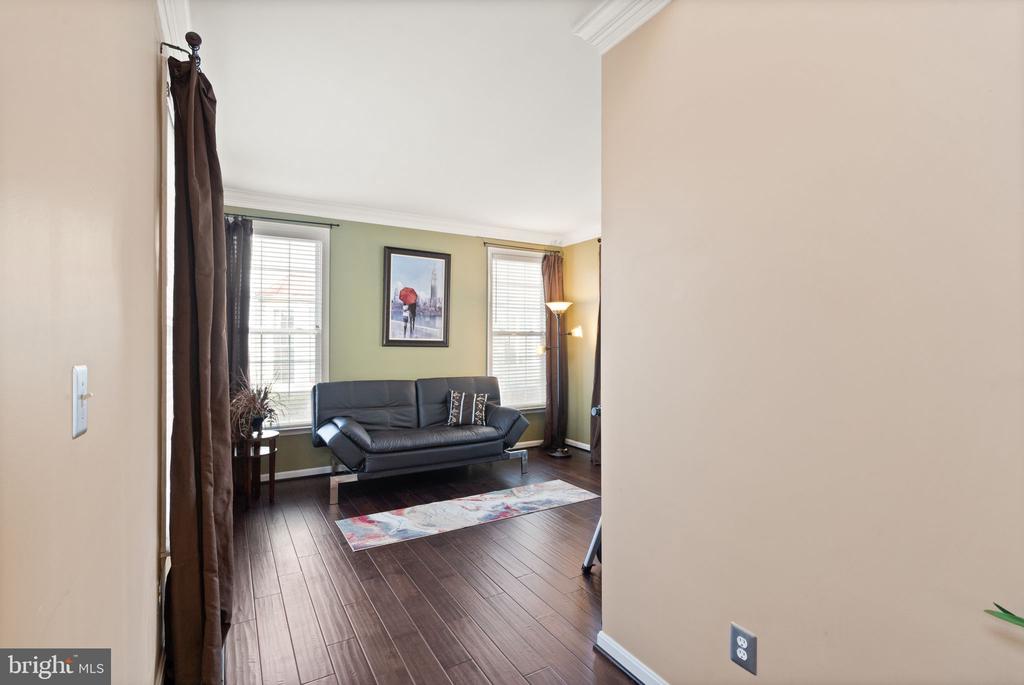 25336 Ripleys Field Dr