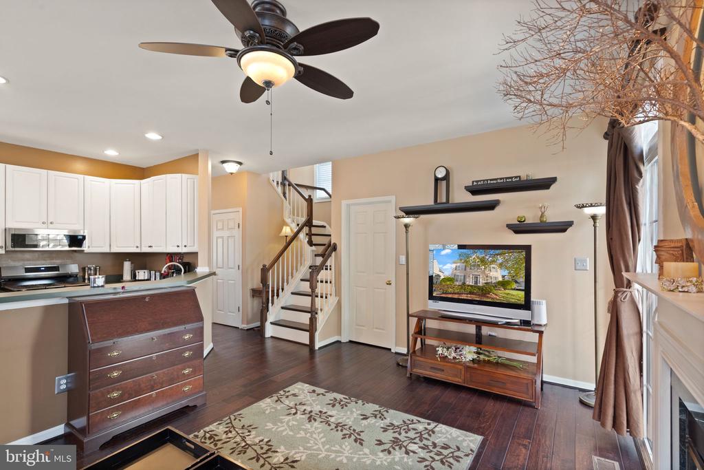 25336 Ripleys Field Dr