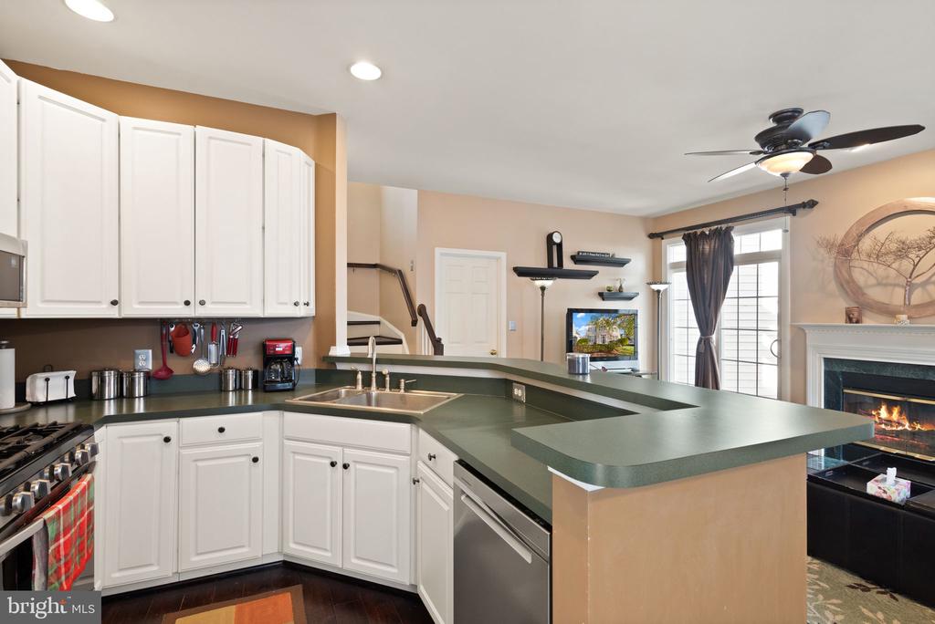 25336 Ripleys Field Dr