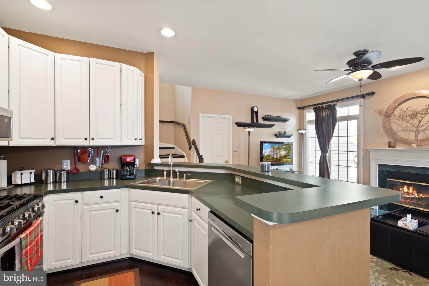 25336 Ripleys Field Dr