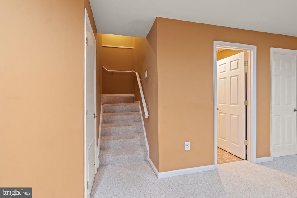 25336 Ripleys Field Dr