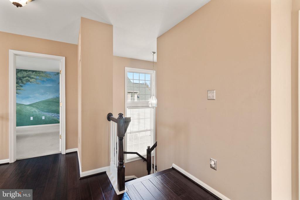 25336 Ripleys Field Dr