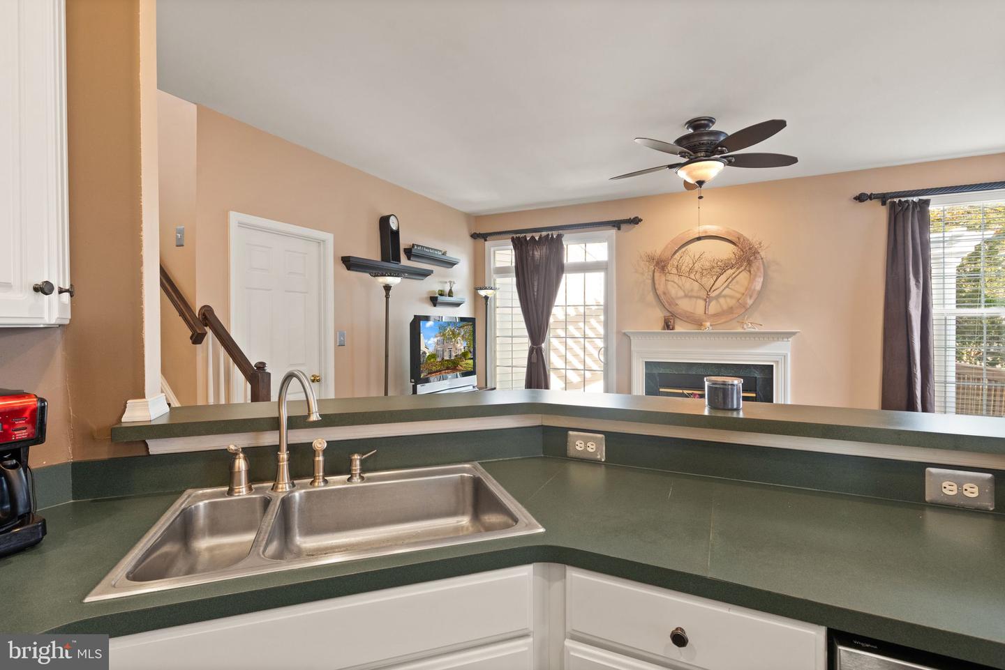 25336 Ripleys Field Dr