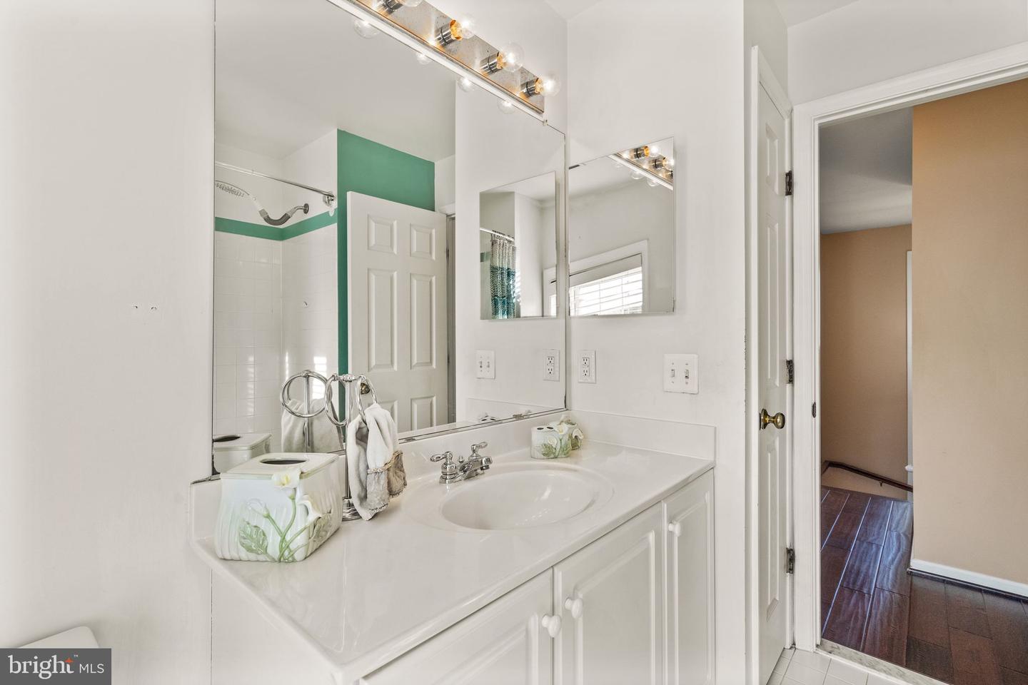 25336 Ripleys Field Dr