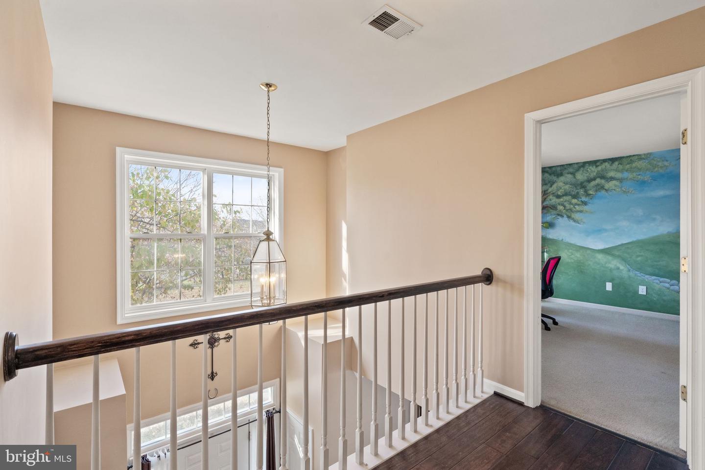 25336 Ripleys Field Dr