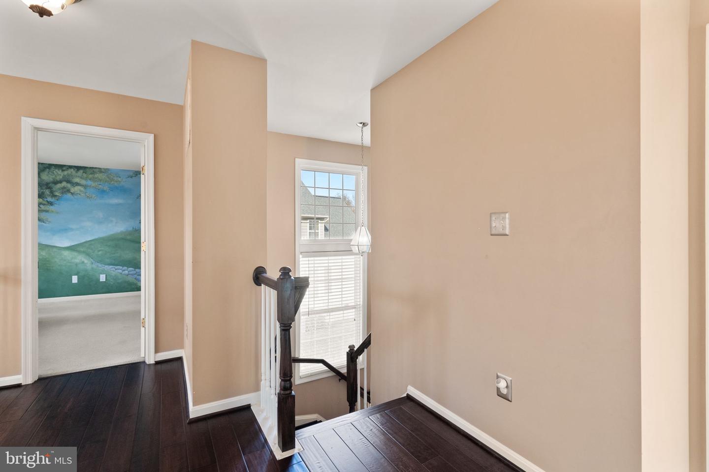 25336 Ripleys Field Dr