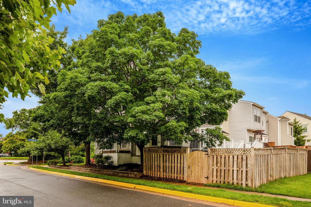 44115 Allderwood Ter