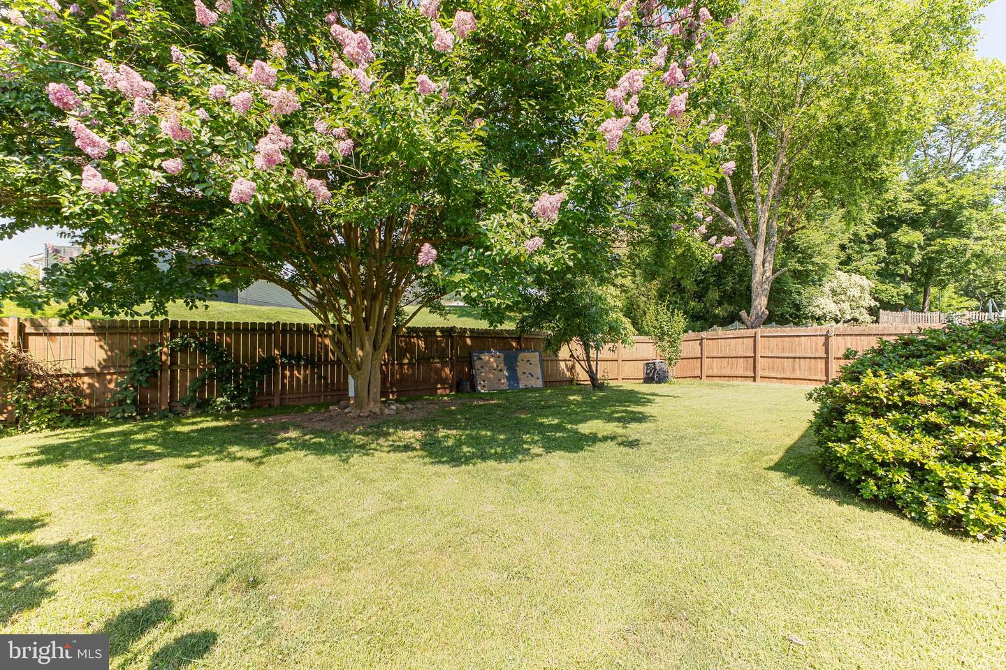 246 AVONDALE DR