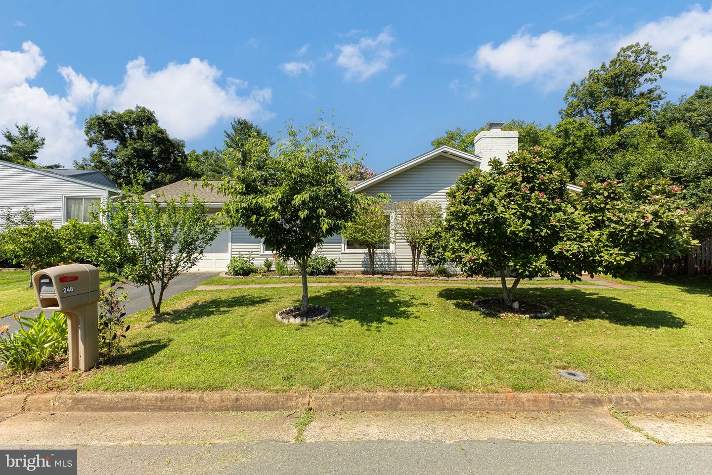 246 AVONDALE DR