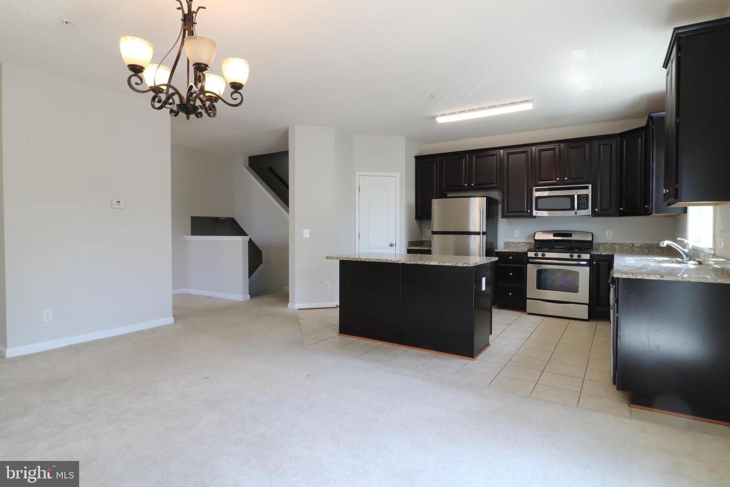 24698 LYNETTE SPRINGS TER