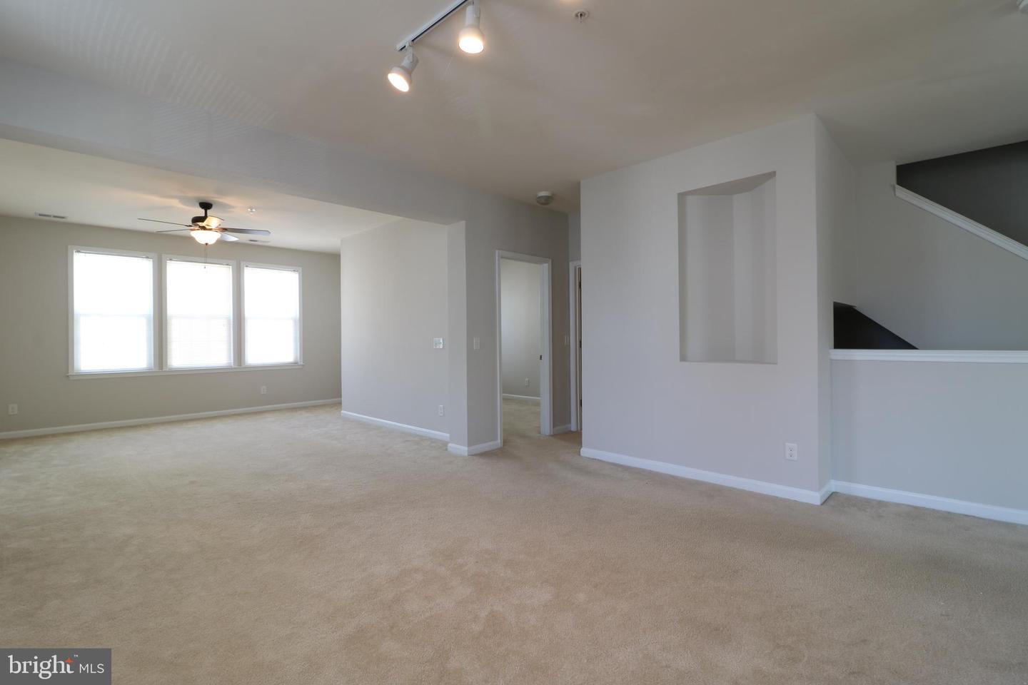24698 LYNETTE SPRINGS TER