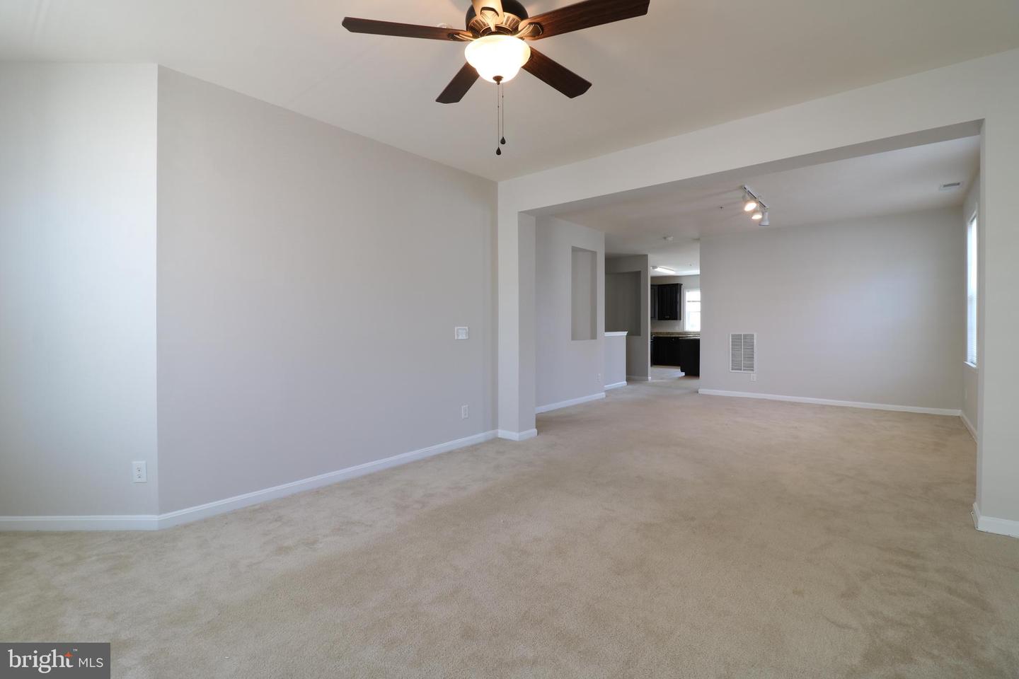 24698 LYNETTE SPRINGS TER