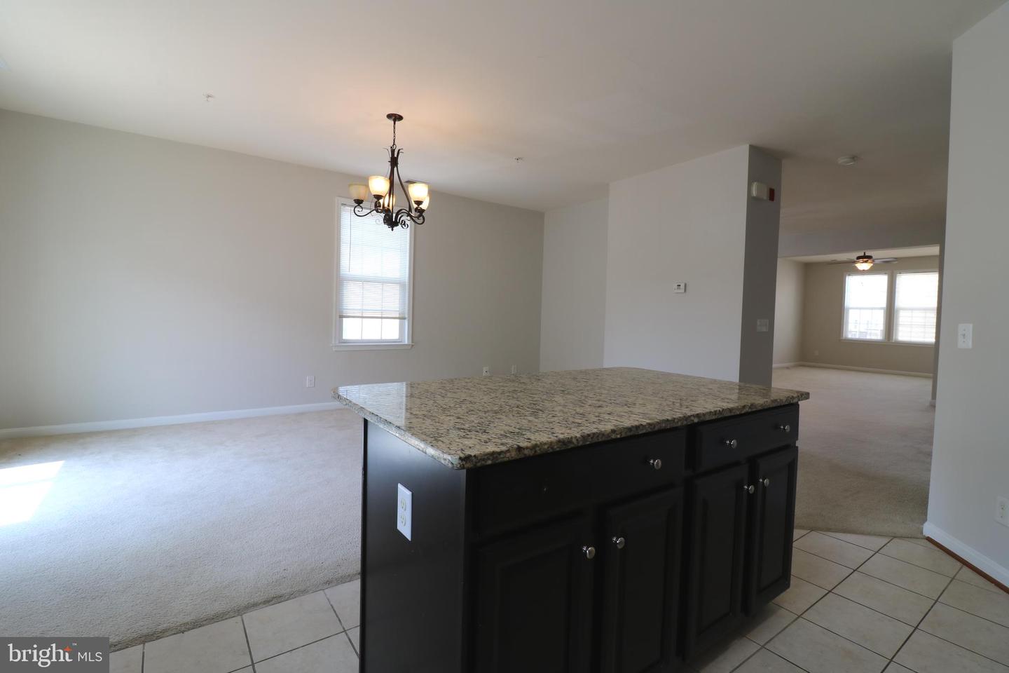 24698 LYNETTE SPRINGS TER