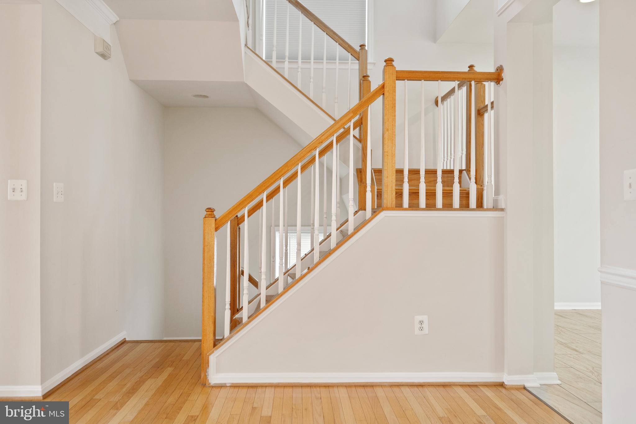 43139 ROYAL FERN TER