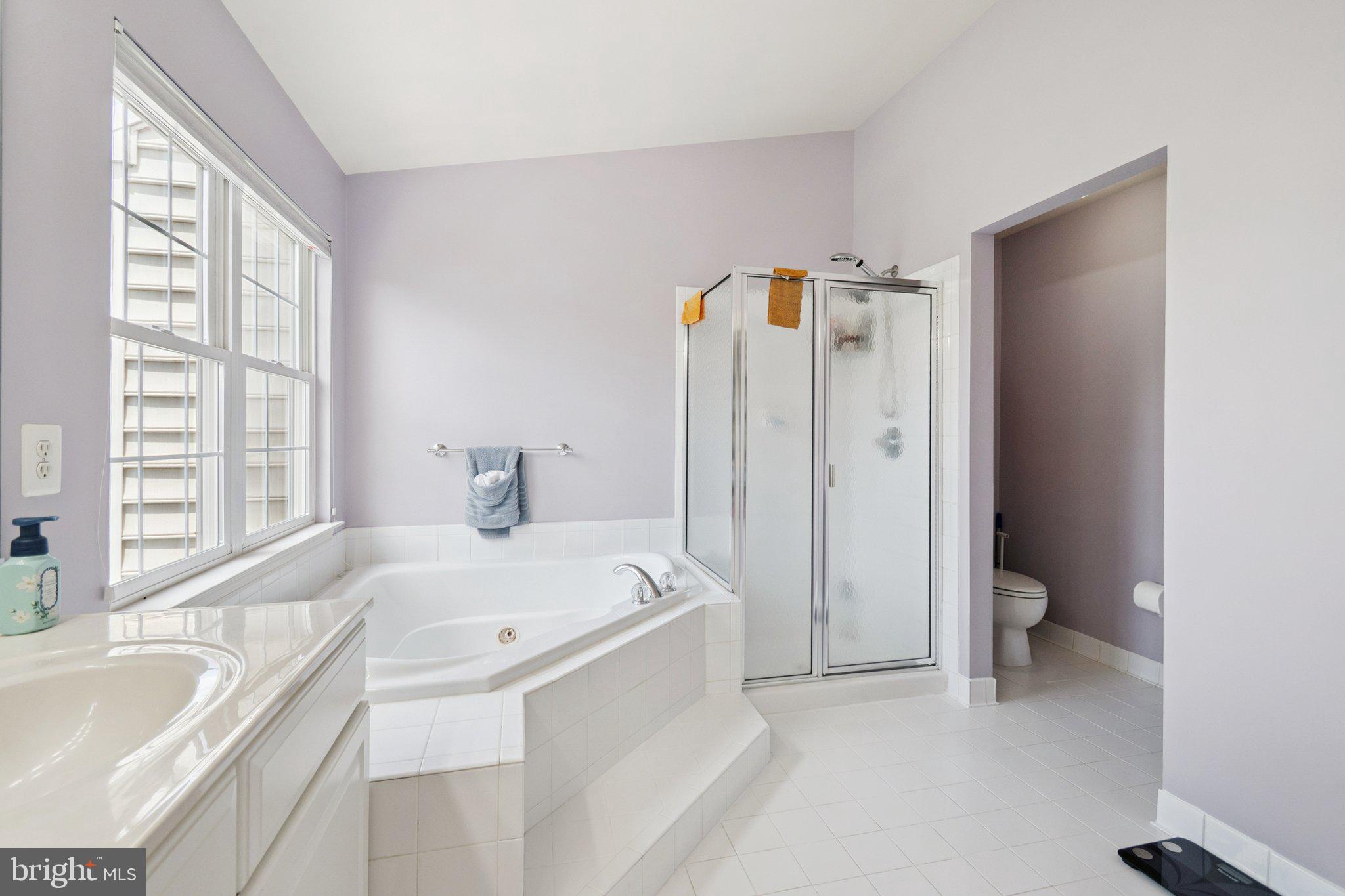 22602 Welborne Manor Sq