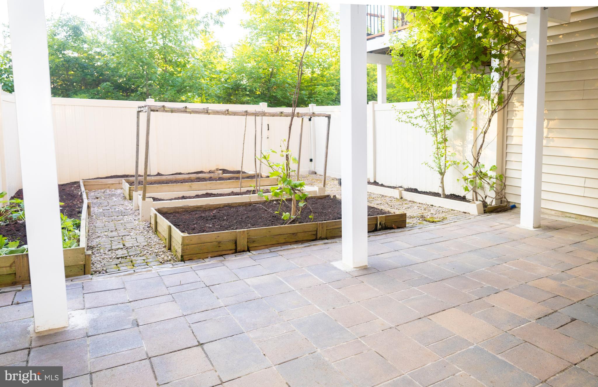 42624 LISBURN CHASE TER