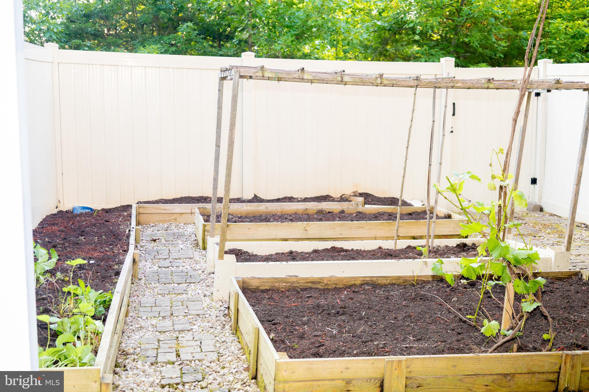 42624 LISBURN CHASE TER