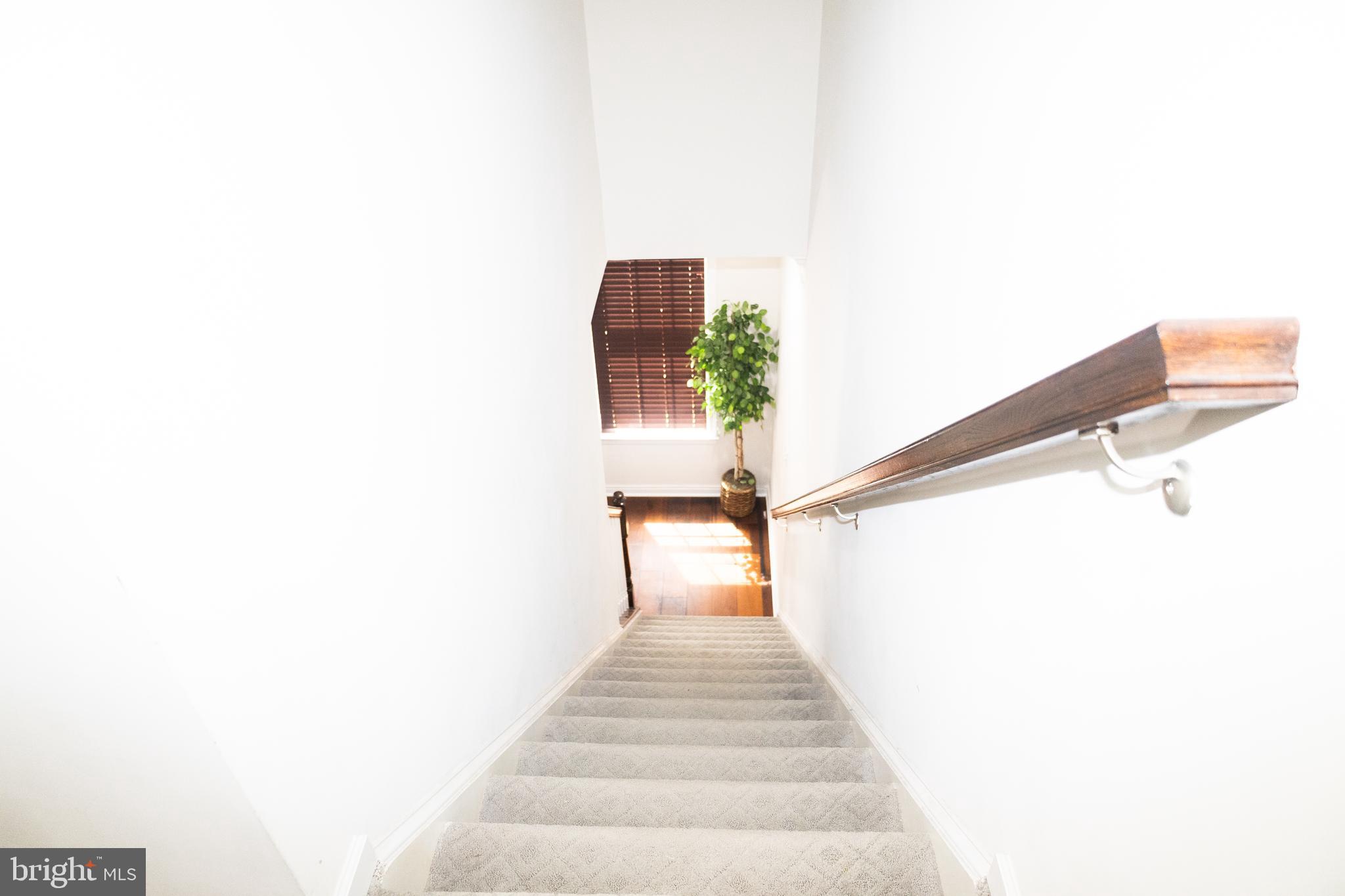 42624 LISBURN CHASE TER