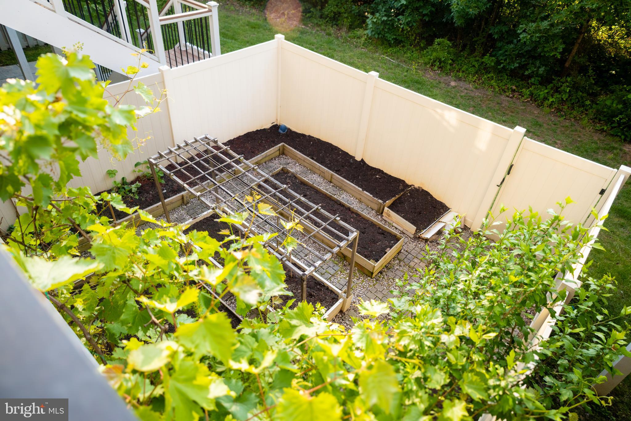 42624 LISBURN CHASE TER