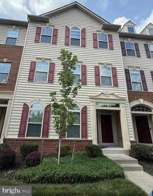42217 Piebald Sq