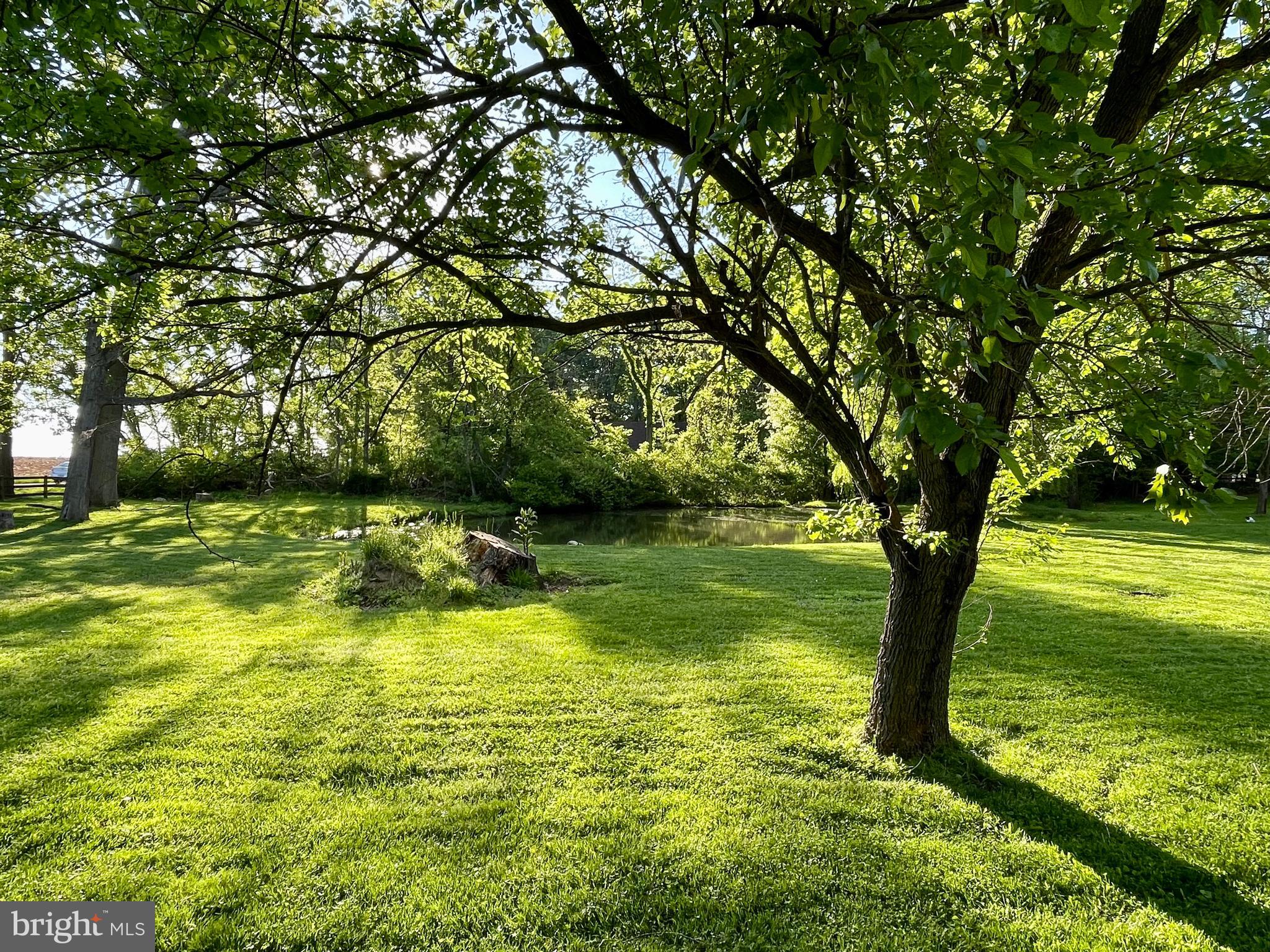 36571 ALLDER SCHOOL RD