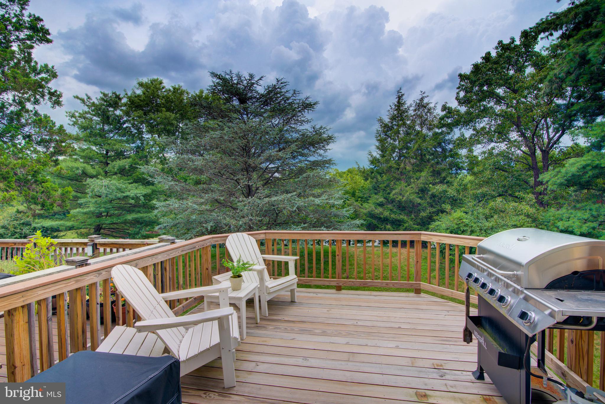 21116 Winding Brook Sq