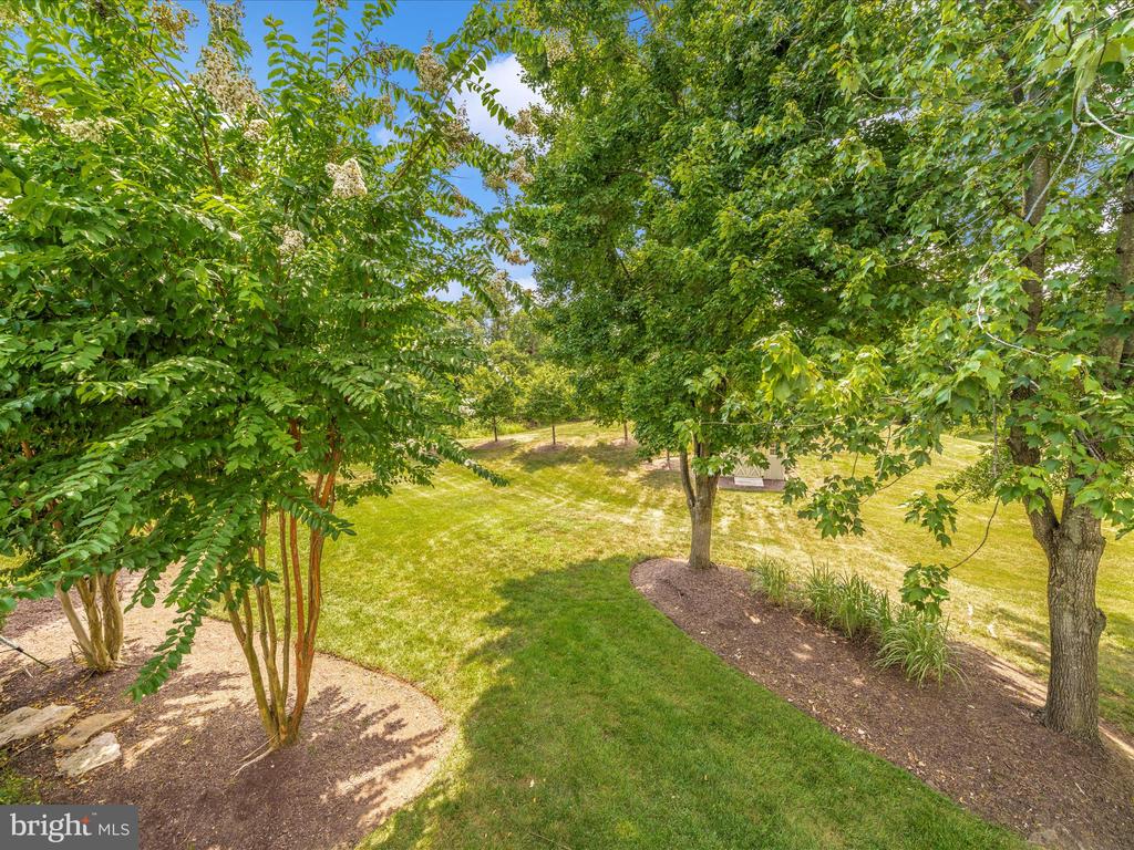 19025 Snowberry Ct