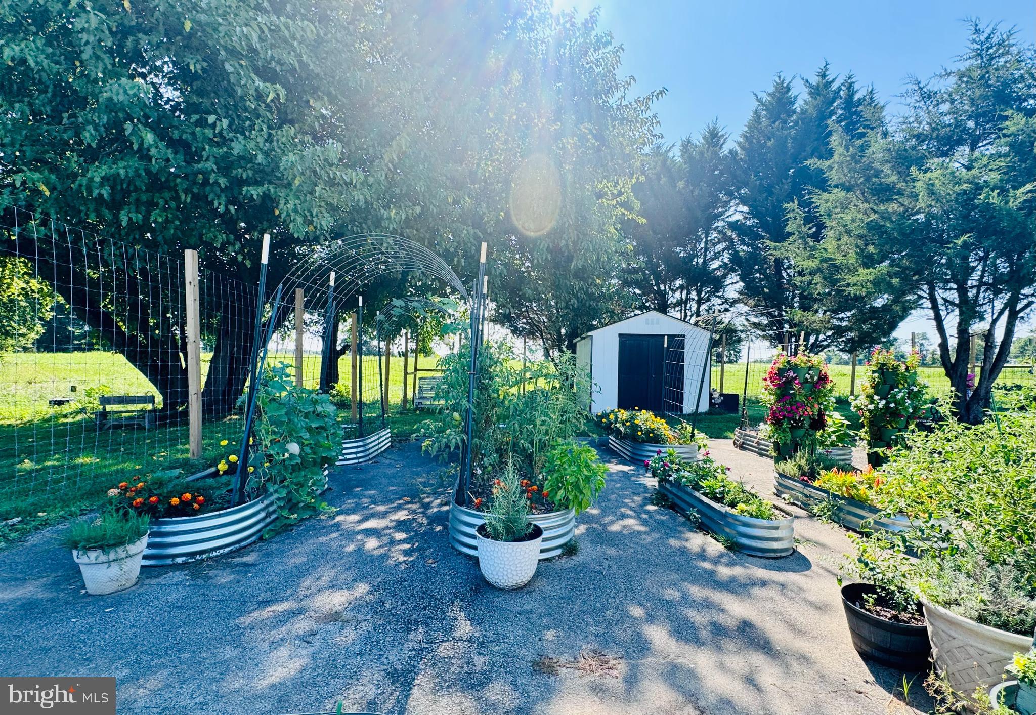 19525 TELEGRAPH SPRINGS ROAD