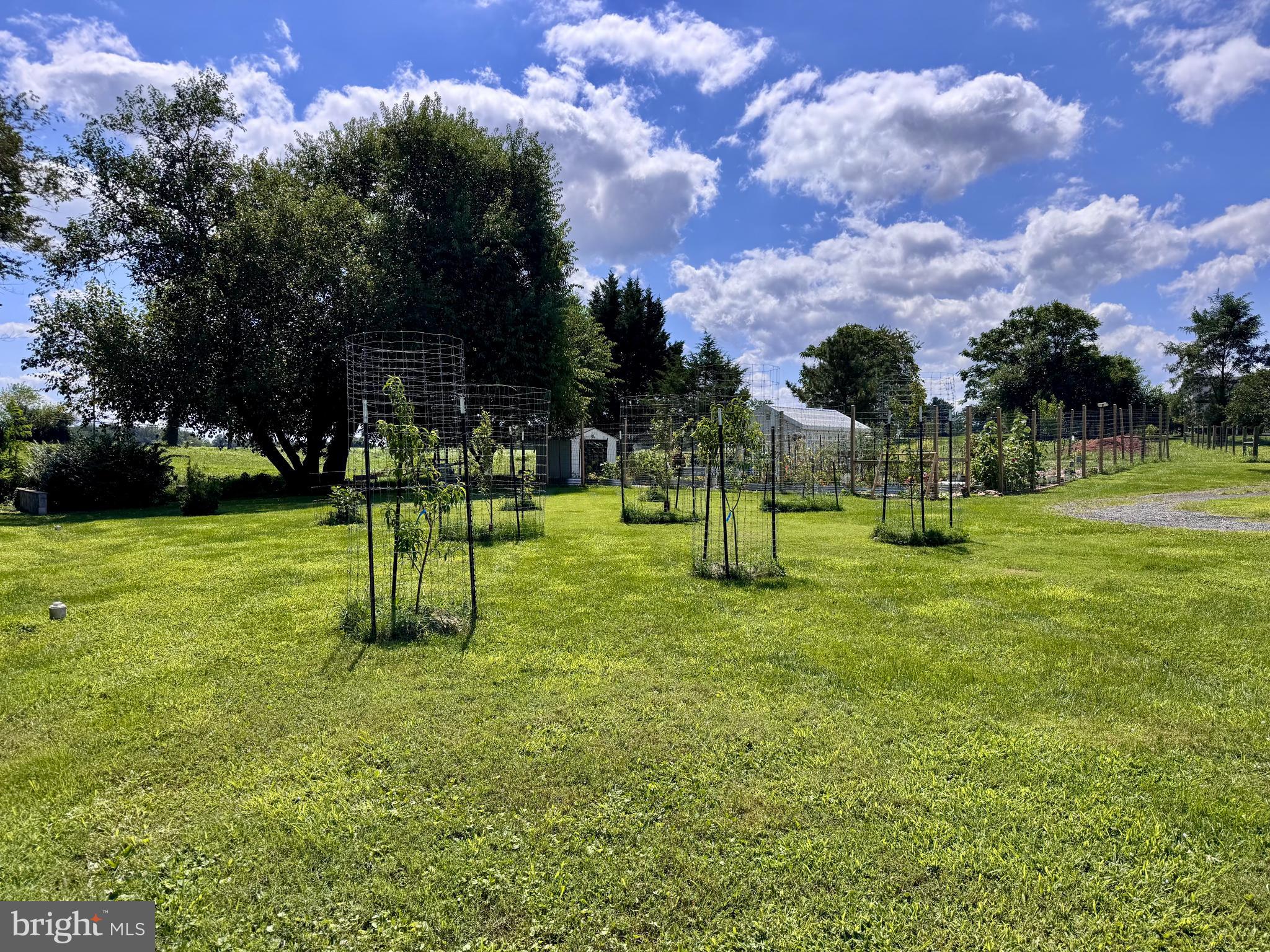 19525 TELEGRAPH SPRINGS ROAD