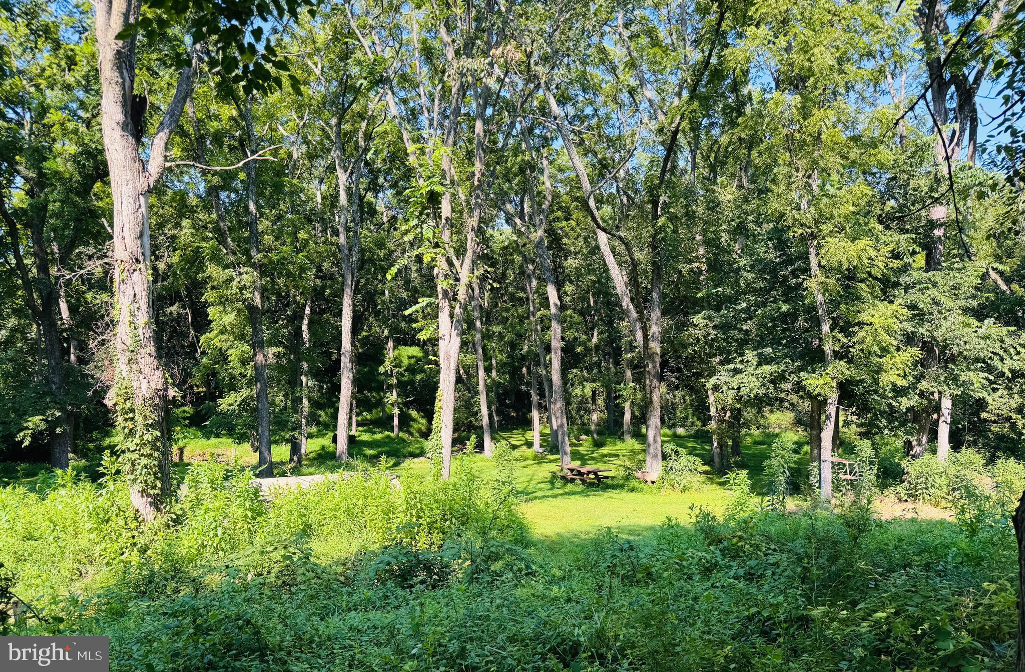 19525 TELEGRAPH SPRINGS ROAD