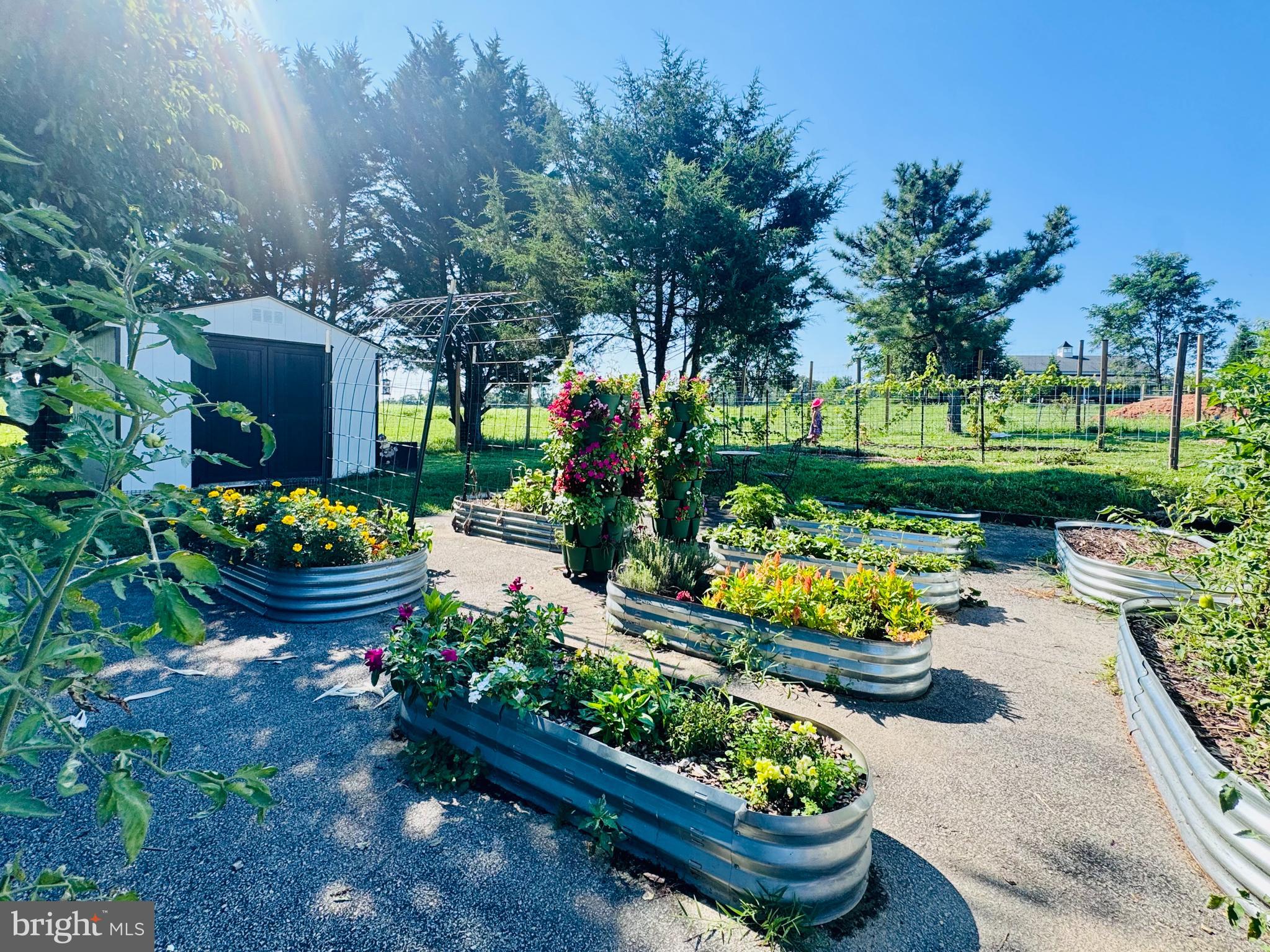 19525 TELEGRAPH SPRINGS ROAD