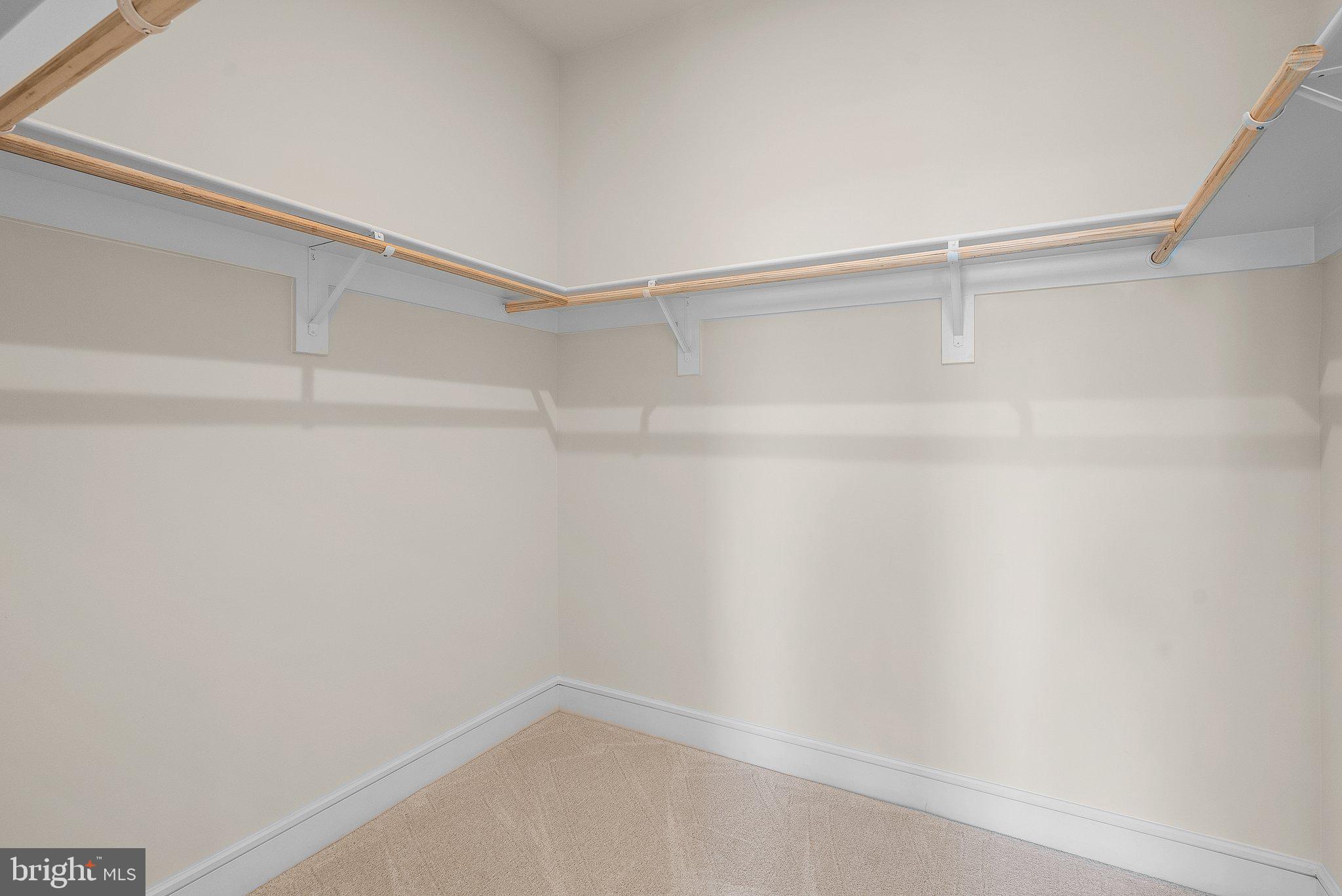 42131 Shining Star Sq