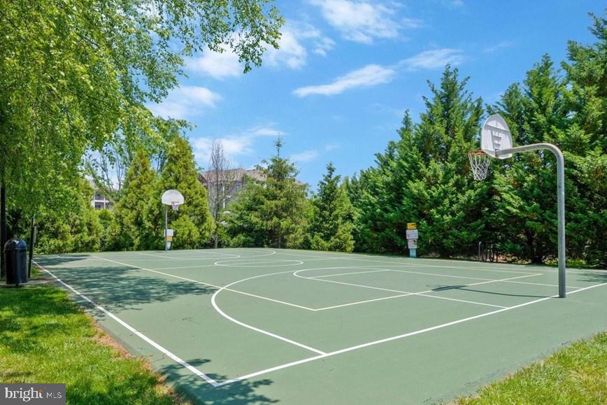 21776 Dragons Green Sq