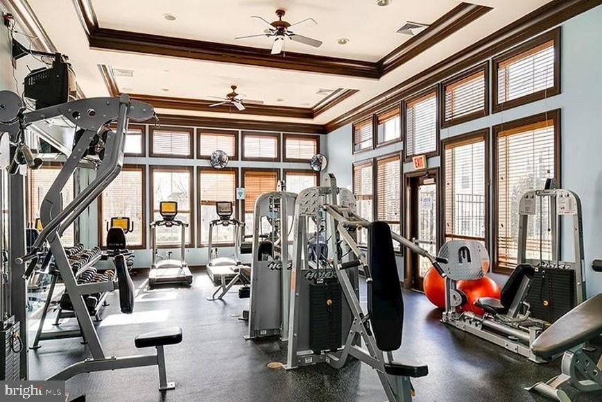 21776 Dragons Green Sq