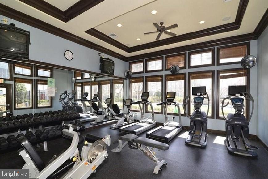 21776 Dragons Green Sq