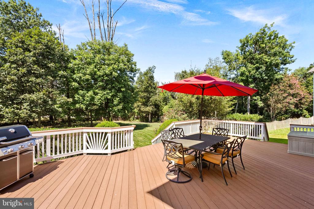 43074 ROCKY RIDGE COURT