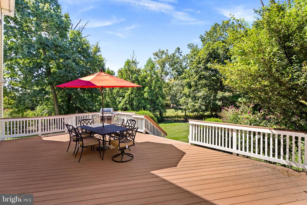 43074 ROCKY RIDGE COURT