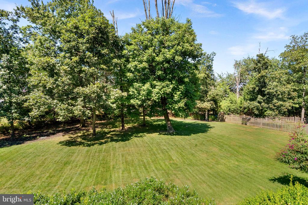 43074 ROCKY RIDGE COURT
