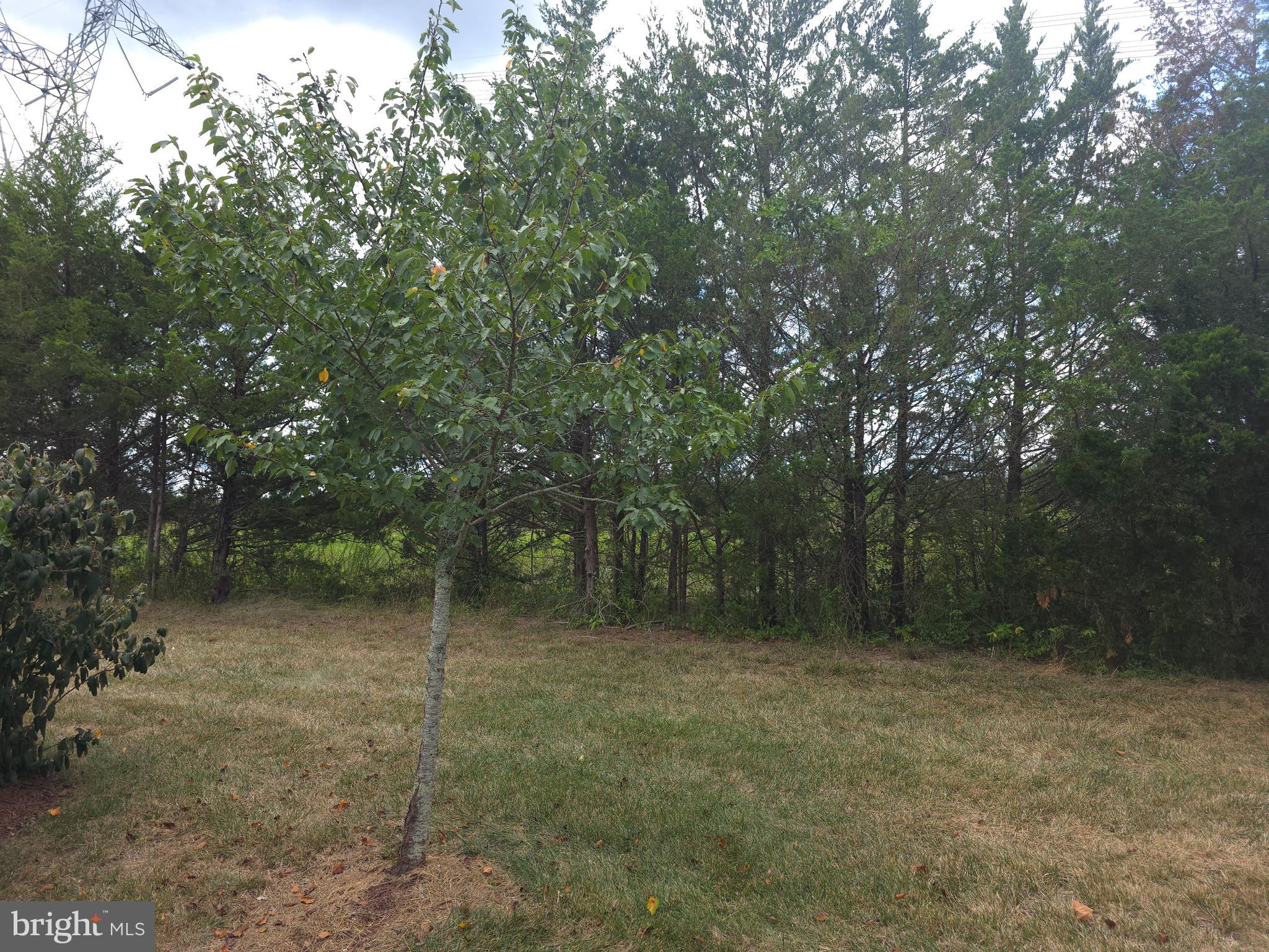 25049 GREEN MOUNTAIN TERRACE