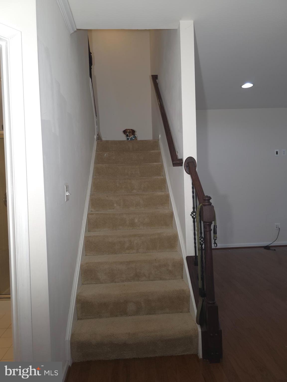 25049 GREEN MOUNTAIN TERRACE