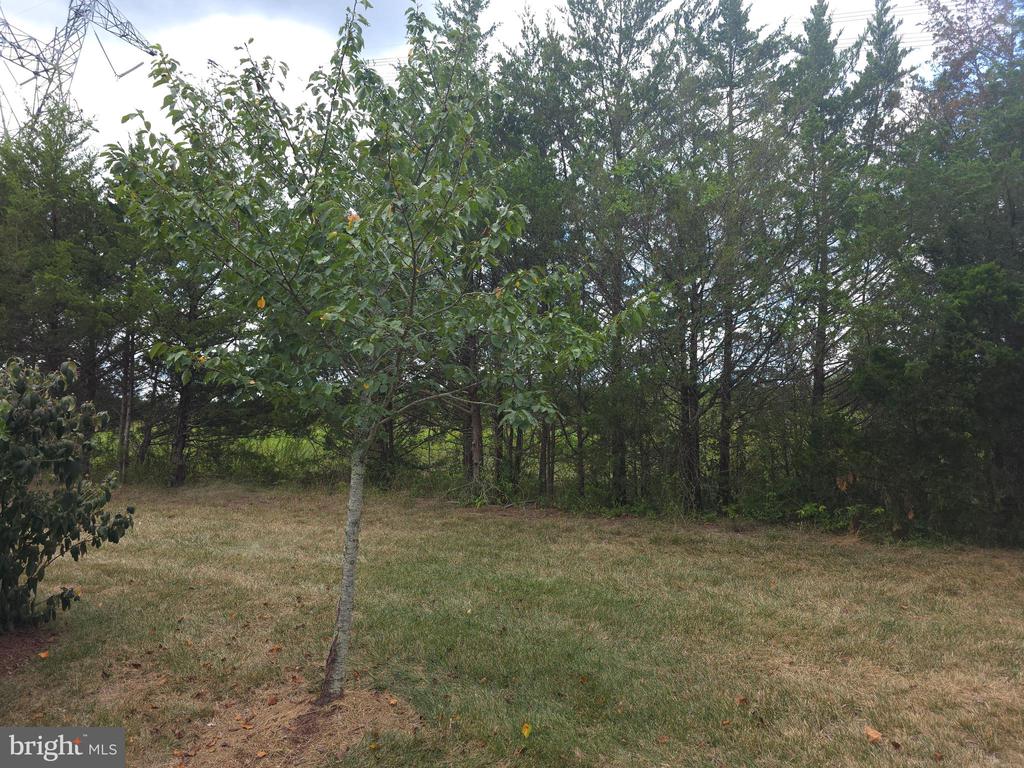 25049 GREEN MOUNTAIN TERRACE