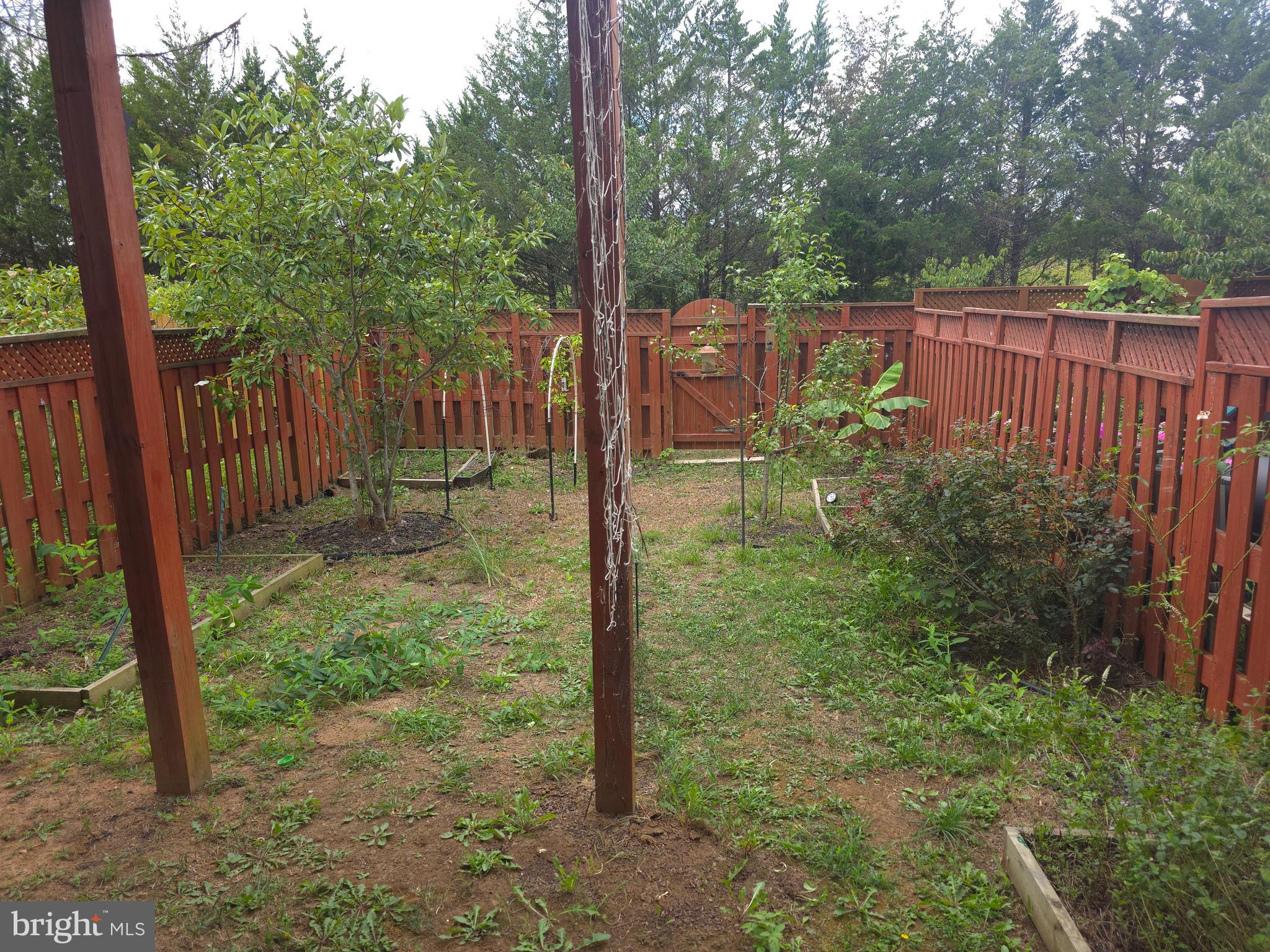 25049 GREEN MOUNTAIN TERRACE