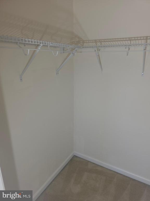 25049 GREEN MOUNTAIN TERRACE