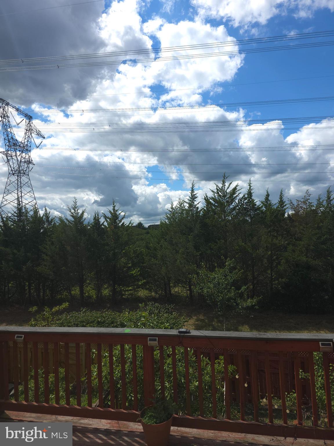 25049 GREEN MOUNTAIN TERRACE