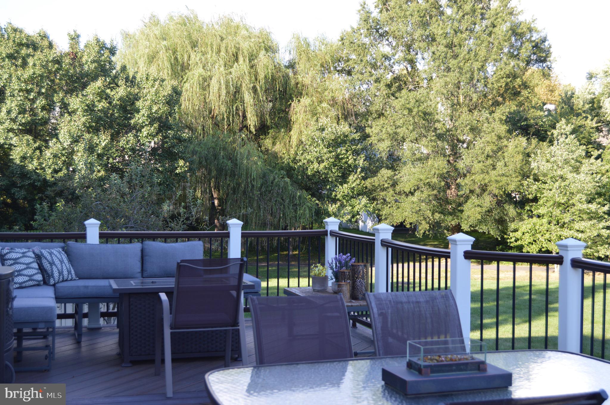 43036 HEDGEAPPLE COURT